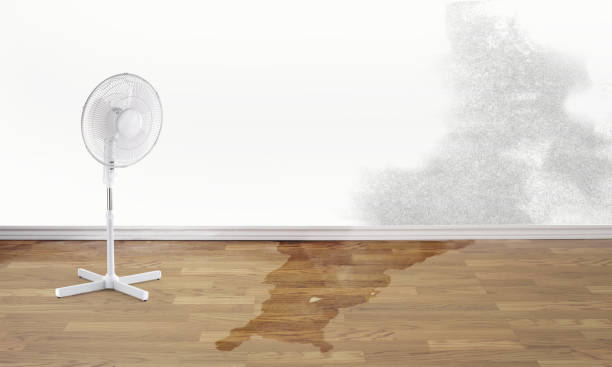 Best Ceiling water damage repair  in Marion, OH