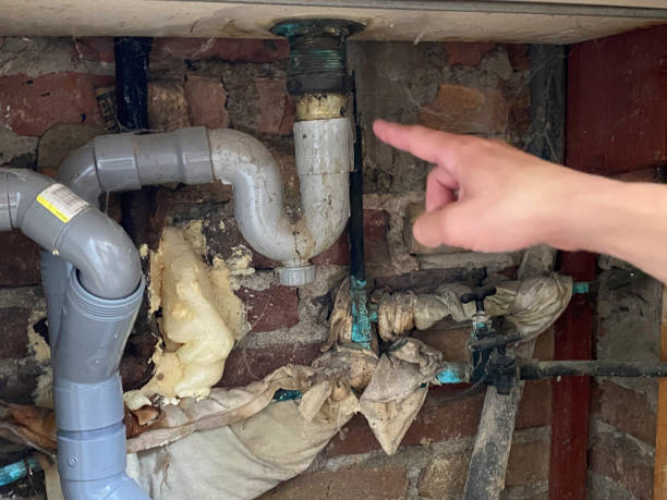 Best Water damage cleanup near me  in Marion, OH